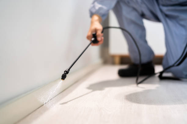 Licensed Pest Control service in Flora, IL - Show Me Pest Control